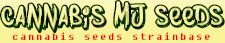 cannabismjseeds.com logo
